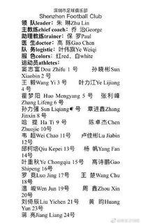 足球海外爆料最新消息新闻,足球海外动态,揭秘赛场幕后风云